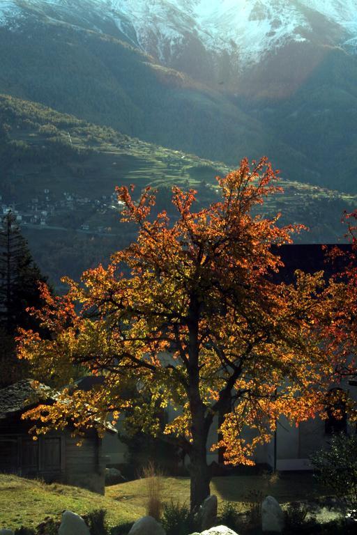 Hotel Alpenblick Zeneggen 외부 사진