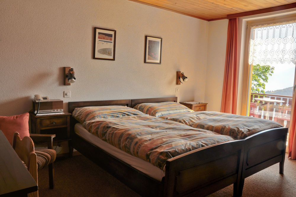 Hotel Alpenblick Zeneggen 외부 사진