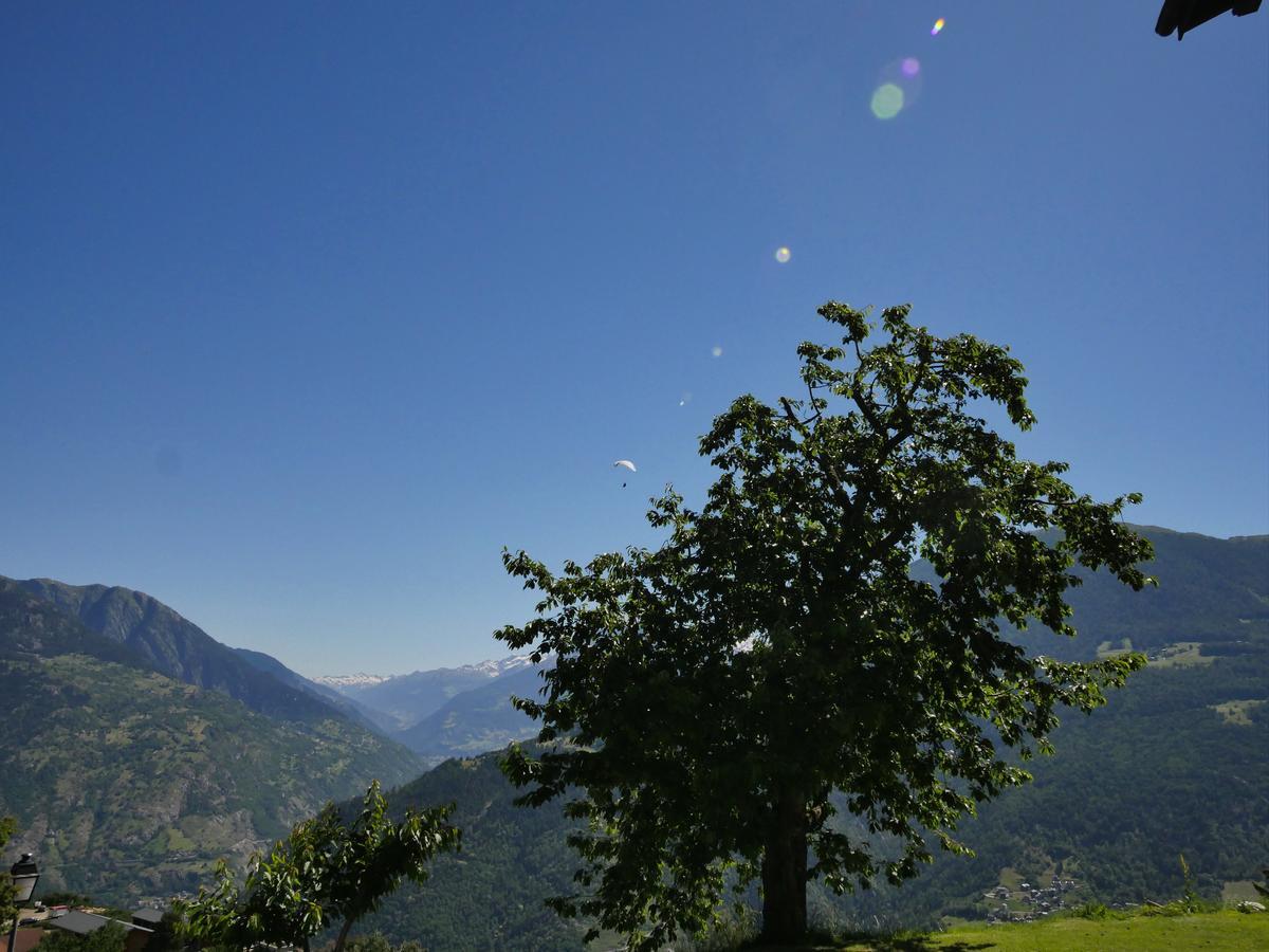 Hotel Alpenblick Zeneggen 외부 사진